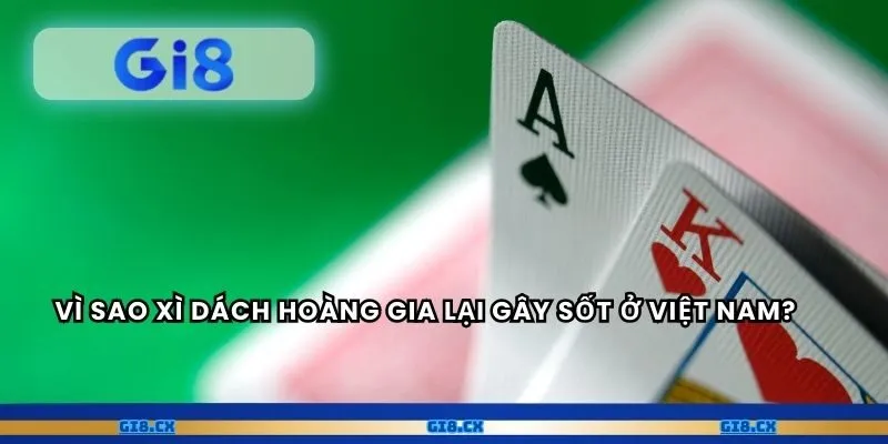 Vì sao Xì Dách Hoàng Gia lại gây sốt ở Việt Nam?